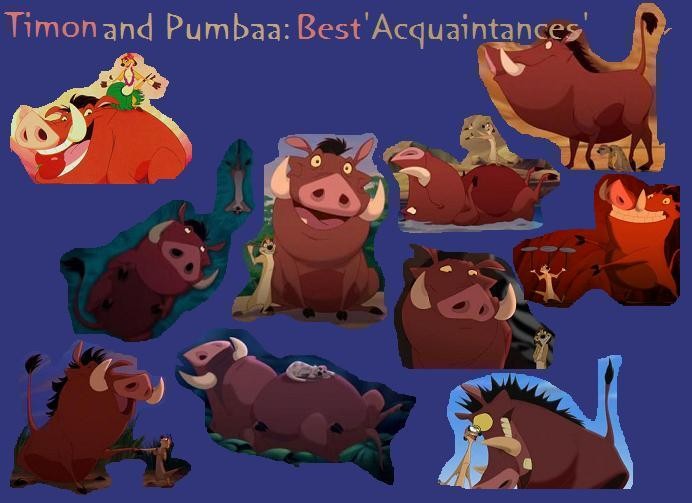 Best 'Acquaintances' :)