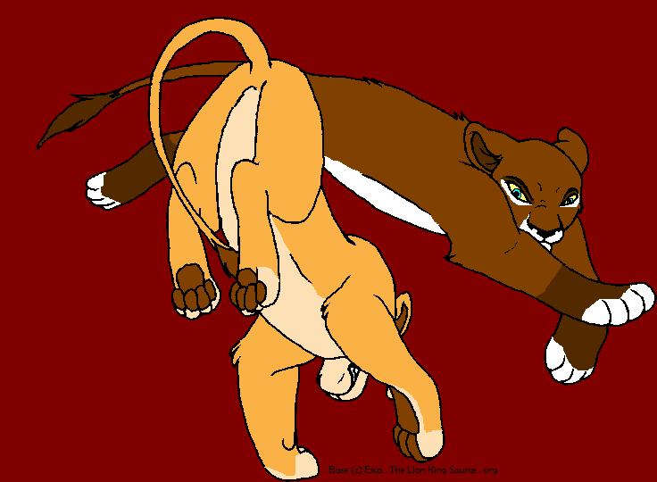 The Fight