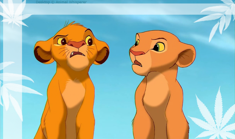 Simba and Nala Desktop