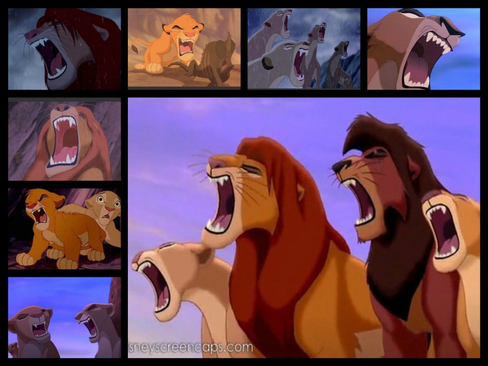 ROAR!!!