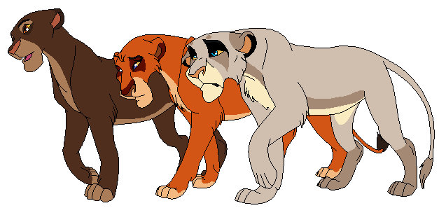 Hasara, Daima and Xolo