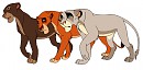 Hasara, Daima and Xolo