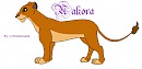 Nakora's reference sheet