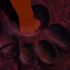 His father's paw prints icon