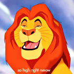 so high right meow