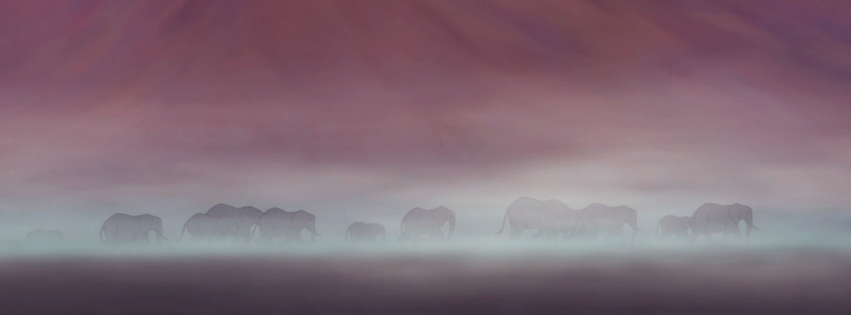 Elephants in the mist - FB Timeline