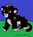 Little Kuda