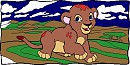 Zambia 