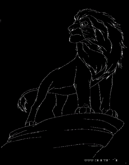 Simba in the stars