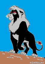 Kuda All Grown Up