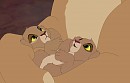 Birth of twins