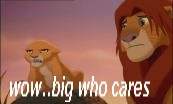 big who cares