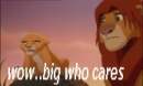 big who cares