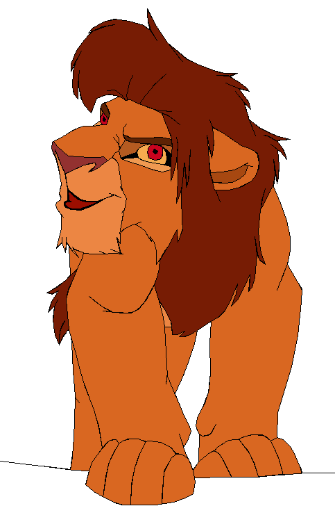 My Kopa colors