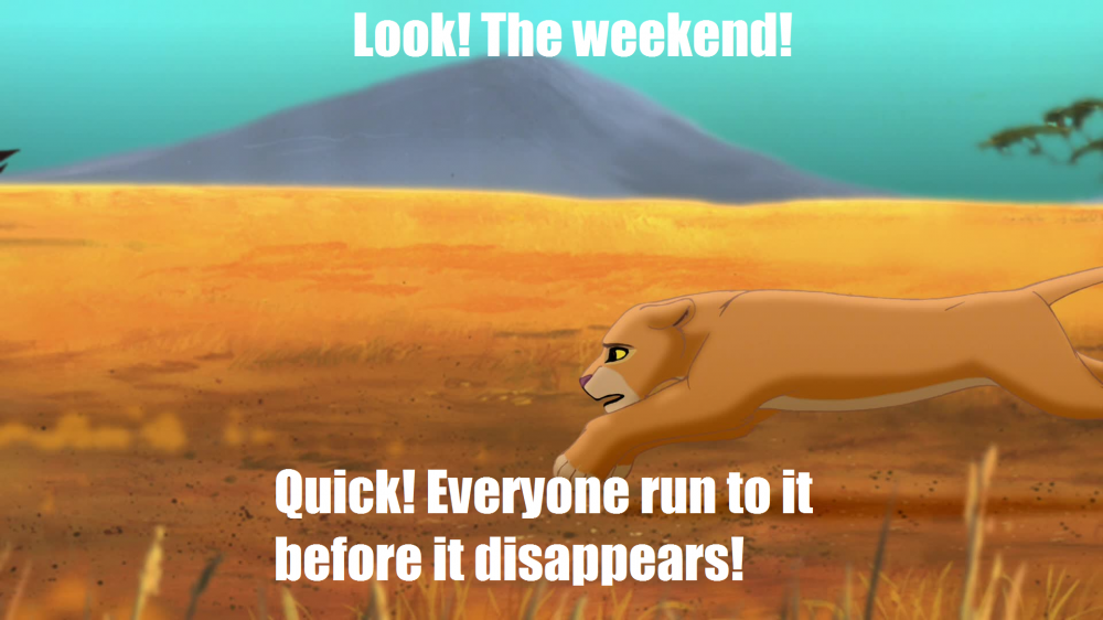 Look! The weekend!