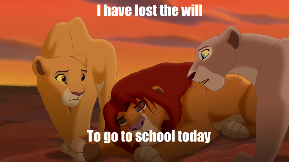 I've lost the will