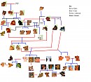 The lion king family tree - unfinished