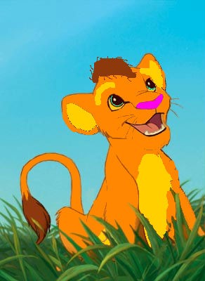 Sanjay (for SimbaCub)