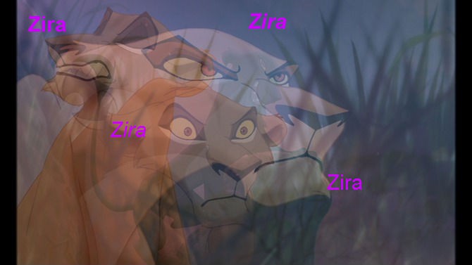 Zira fan
