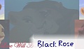 Black Rose