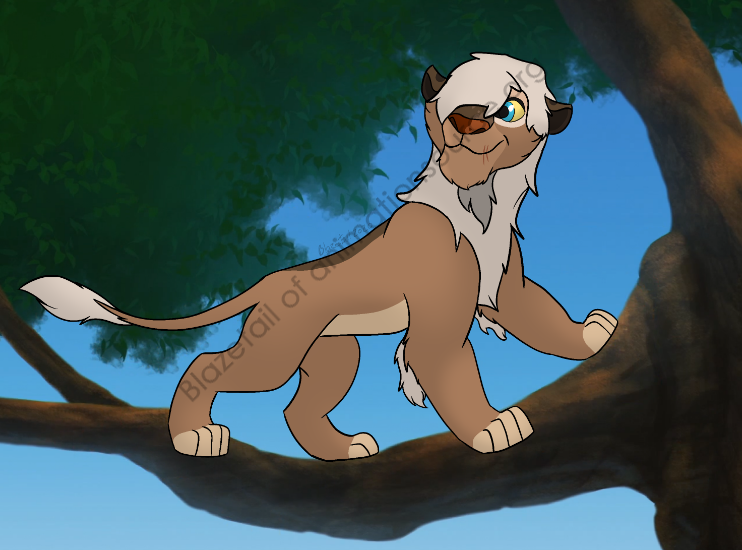 Baadal in a tree