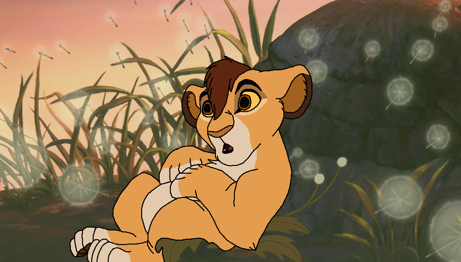 Kopa