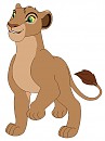 Kayin's new design