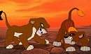 Kilu VS Womika