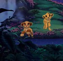 Des petits bous-de-choux dans la jungle 