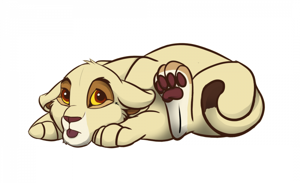Little Ferra