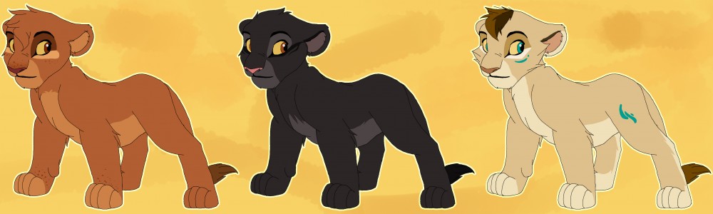 Adoption de 3 lionceaux