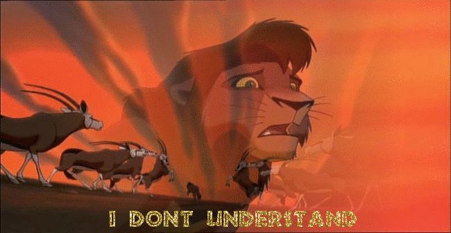 I Don't Understand! 