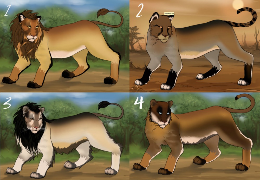 Adoptables!