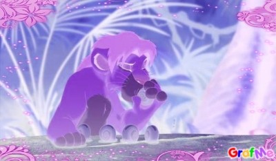 simba petit