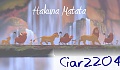 Coco2204