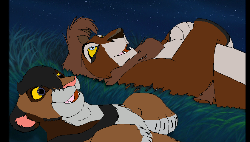 Star Gazing.. 