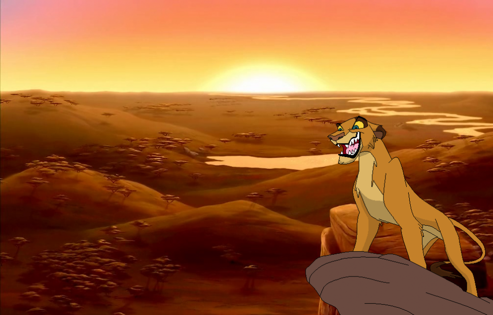 Kotara's Ruling