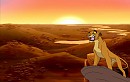 Kotara's Ruling