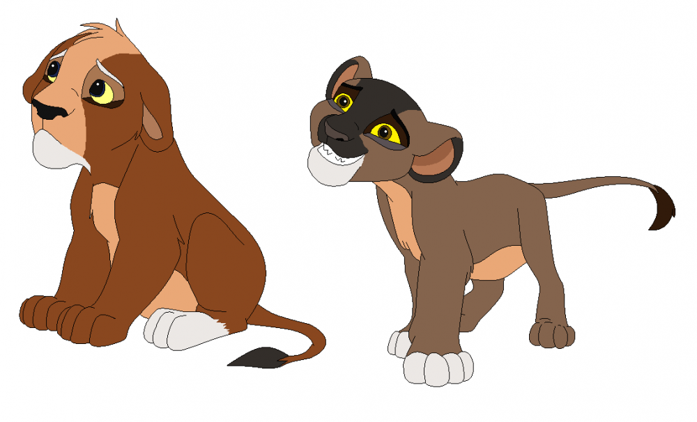 Zasha Fan Cubs