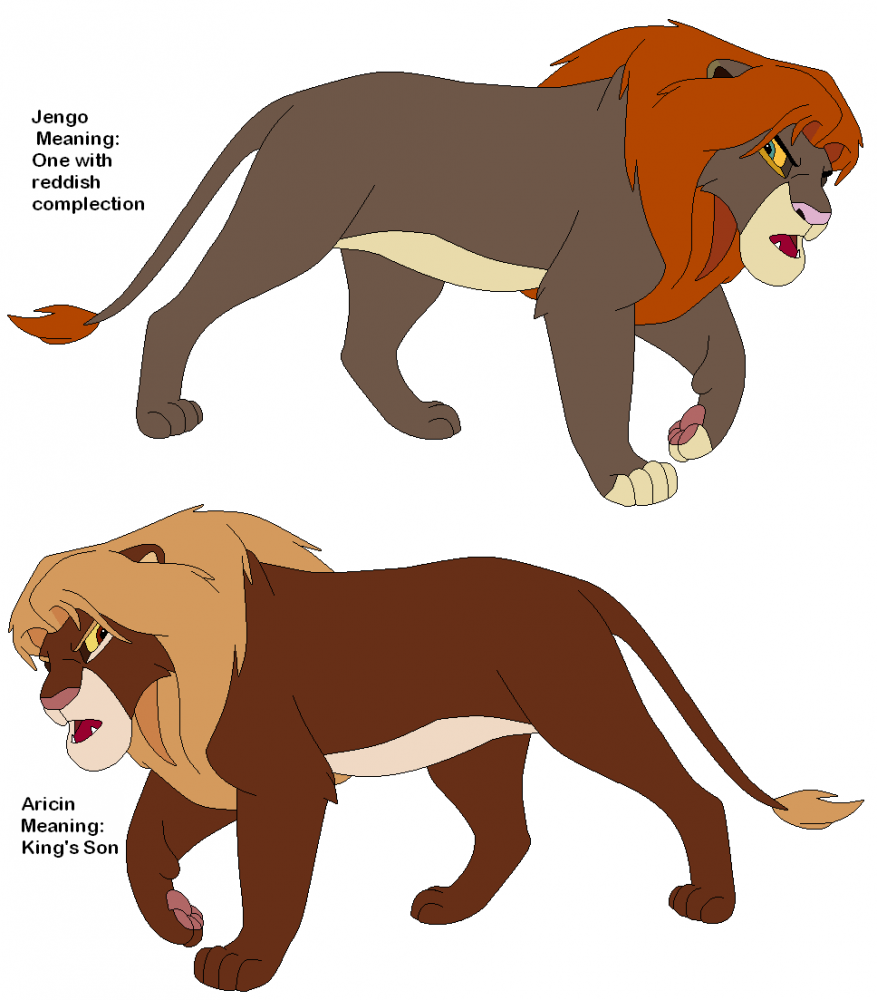 Two Orange Maned Males