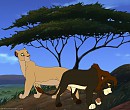 For what its worth.. I am sorry Meeko