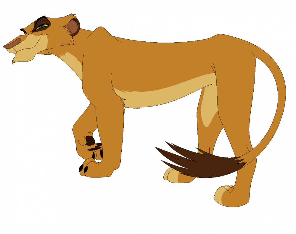 Adult Kotara