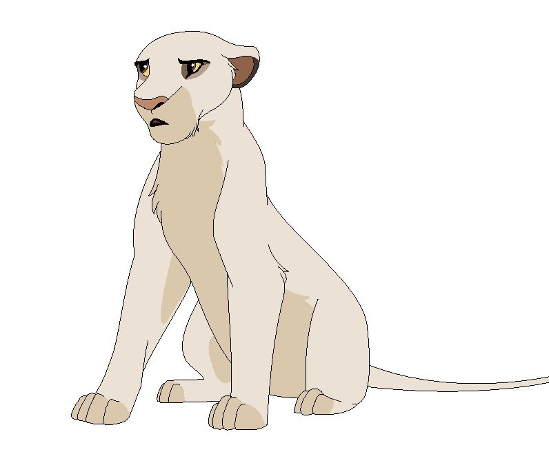 Eupe Adult