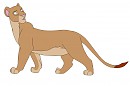 Jalena adult