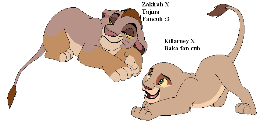 Fan Cubs I Promised
