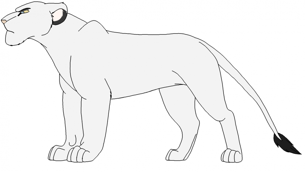 New Character (Version 1)