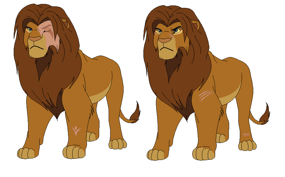 Tojo's Rp Design Outcomes