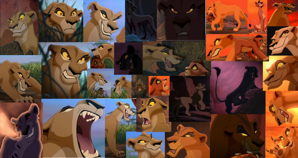 Zira Collage