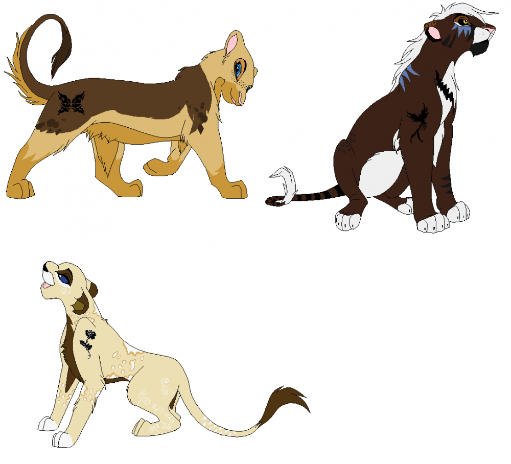My River Lions