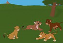 Meeting of cubs